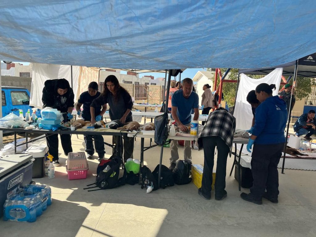 campaña de esterilización con bomberos csl