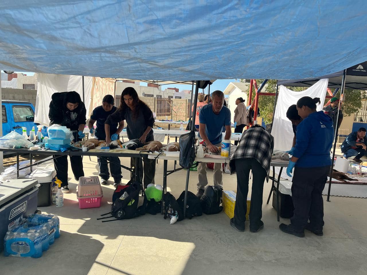 campaña de esterilización con bomberos csl