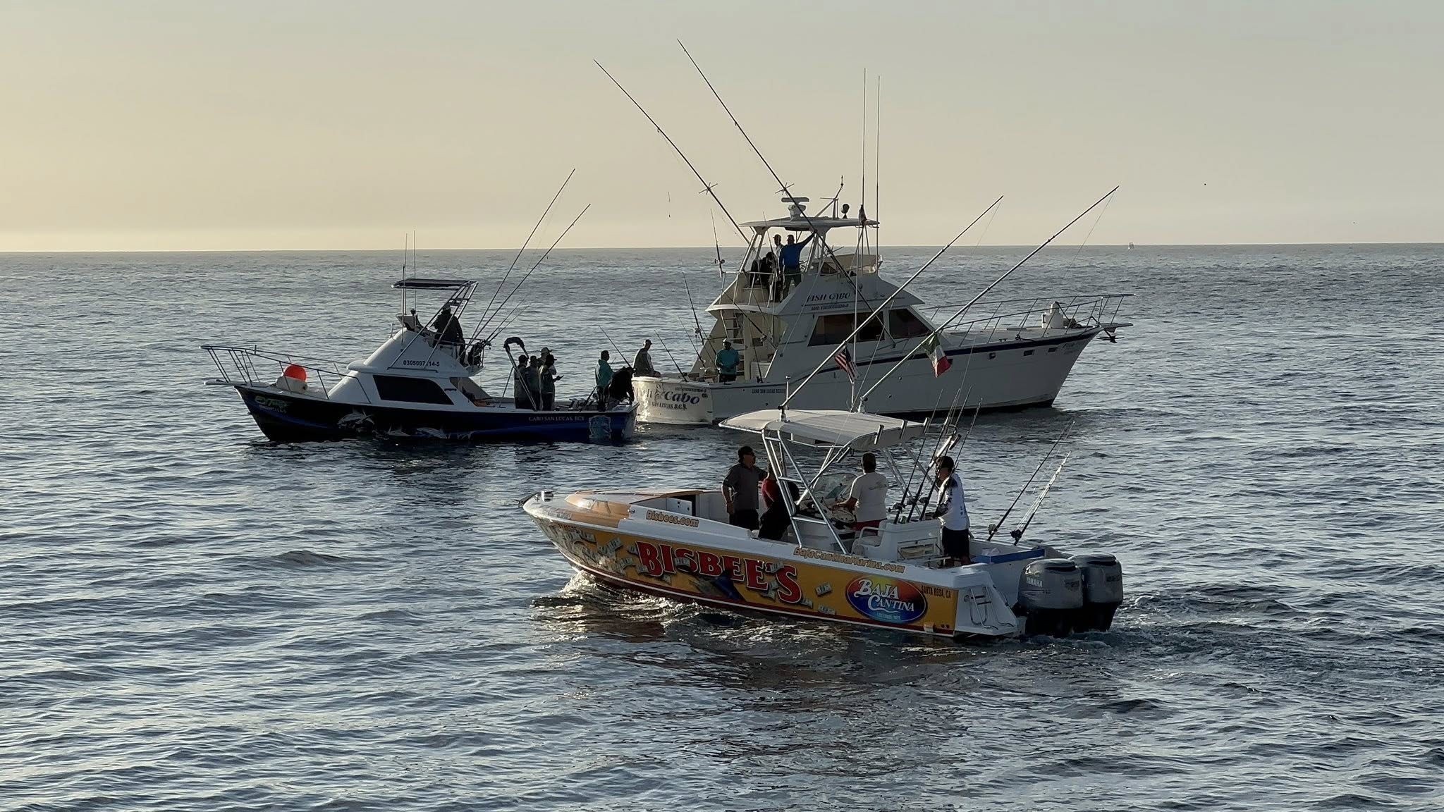 Torneo de Pesca Bulnes